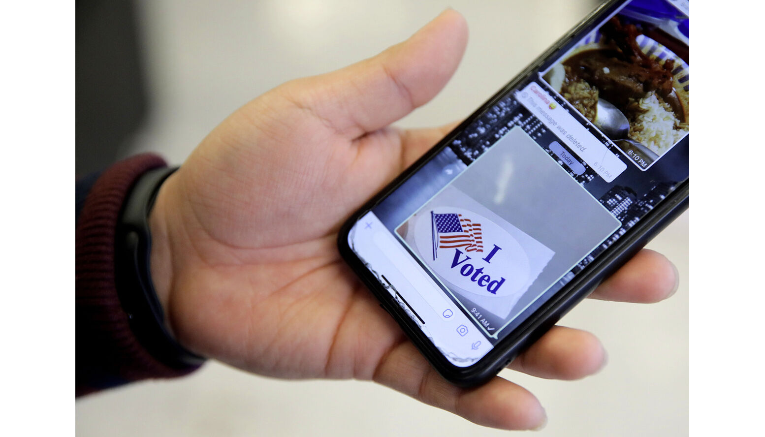 Voter Portal online